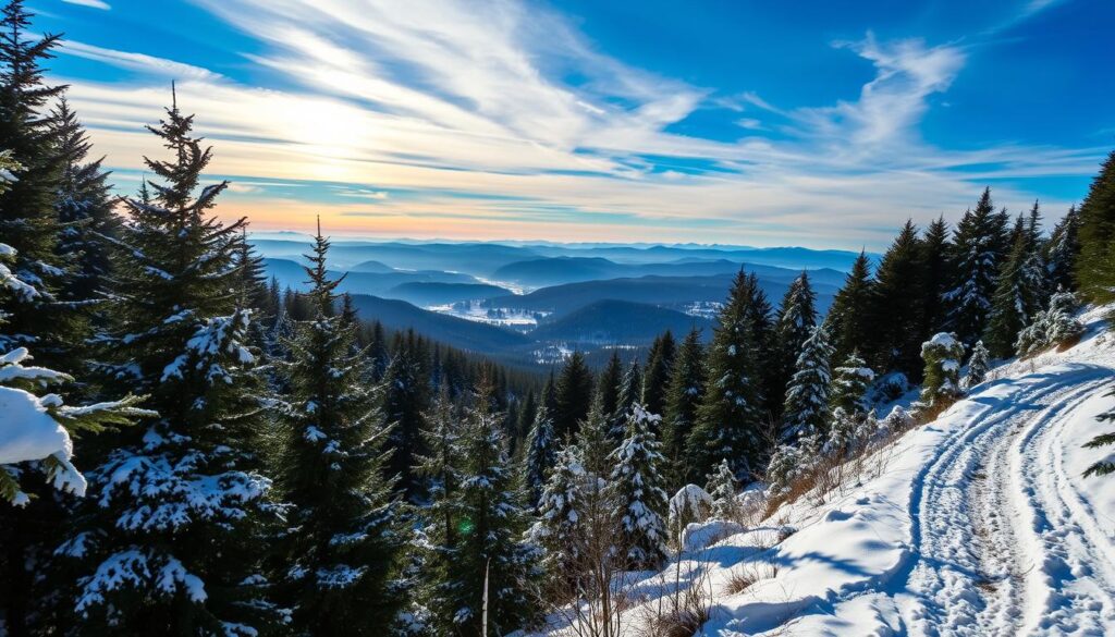 winterwandern bregenzerwald routen